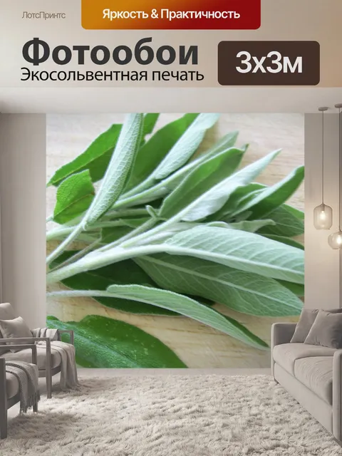 Фотообои Листьев шалфея