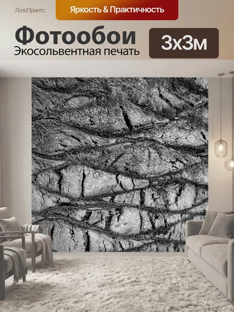 Фотообои Палм текстуры ствола дерева