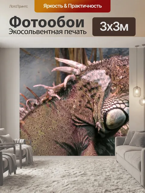 Фотообои Зеленая игуана