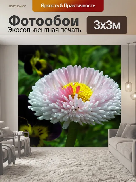 Фотообои Дейзи