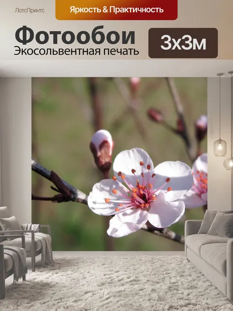 Фотообои Цветение сливы