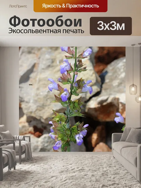 Фотообои Мудрец