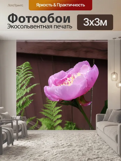Фотообои Пион III
