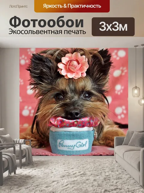 Фотообои Йоркширский терьер