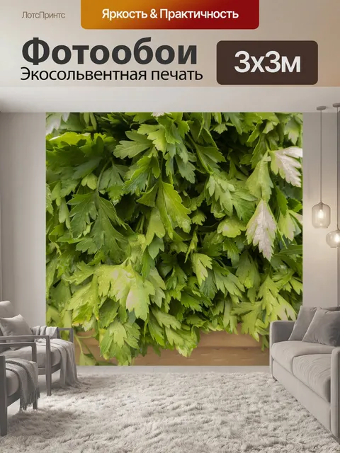 Фотообои Зеленый листовой овощ сельдерея