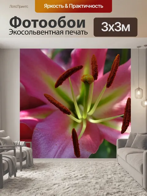 Фотообои Лили
