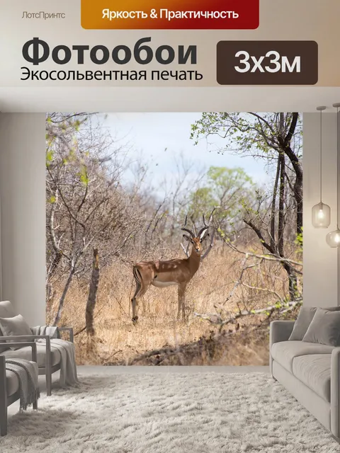 Фотообои Южная африка