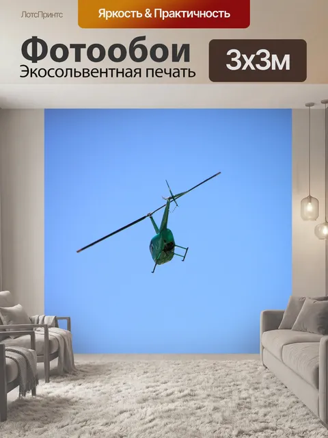 Фотообои Летающий