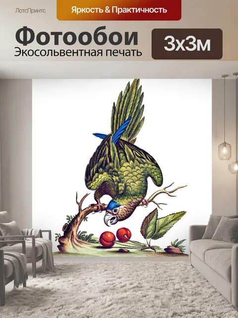 Фотообои Попугай
