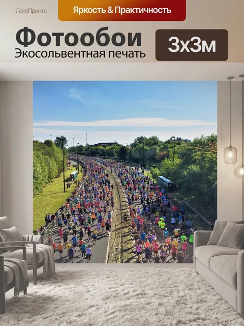 Фотообои большой северный пробег