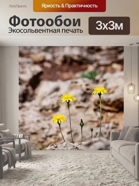 Фотообои Цветок