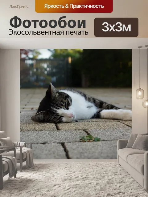 Фотообои Похмелье