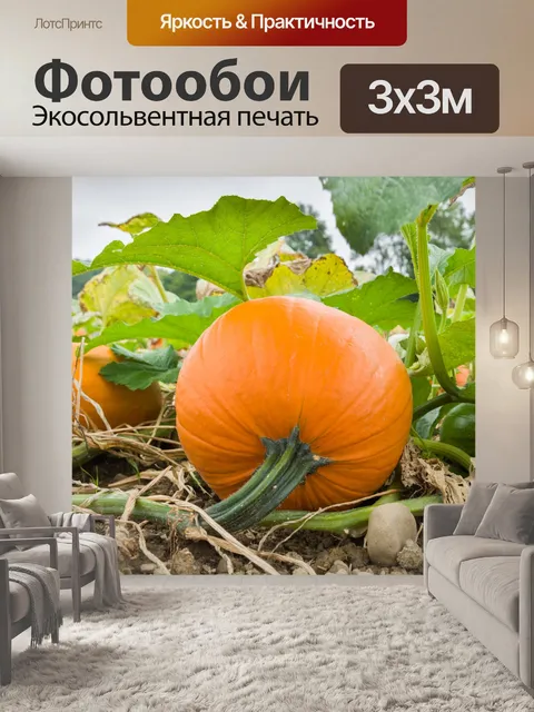 Фотообои тыквы