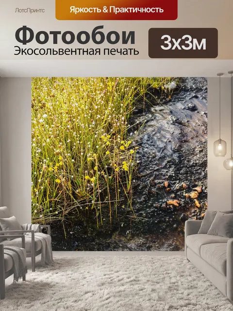 Фотообои Трава цветочное поле, полевые цветы
