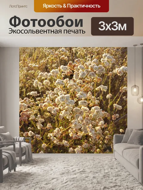 Фотообои Цветы гречихи
