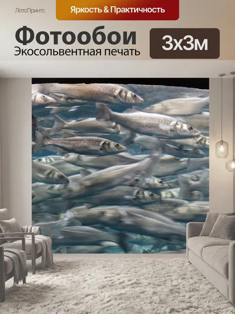 Фотообои Рыбы