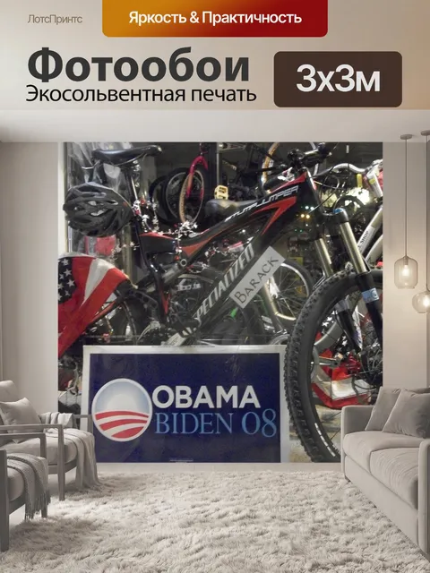 Фотообои Велосипед президенты