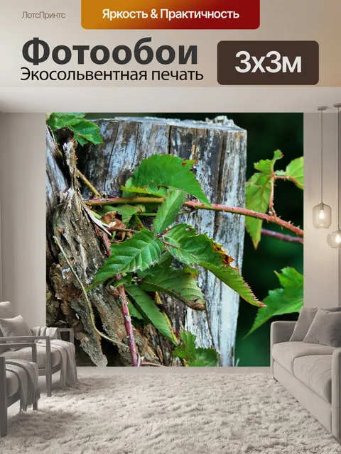 Фотообои Терновник стреляет над пень