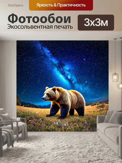Фотообои медведь, сандалирующий под звёздным небом