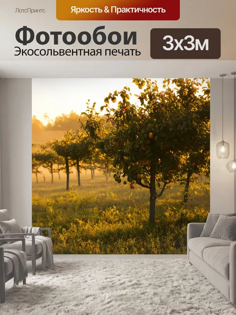 Фотообои утро: традиционные южные сельские пейзажи с фруктовыми деревьями, на которых висят яркие плоды