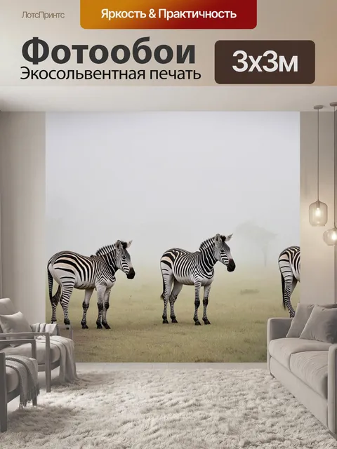 Фотообои туман в стиле плоский, рекорды времени зустрічей с зебрами в тумане, экзотическая природа