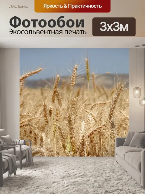 Фотообои Поле пшеницы с горами