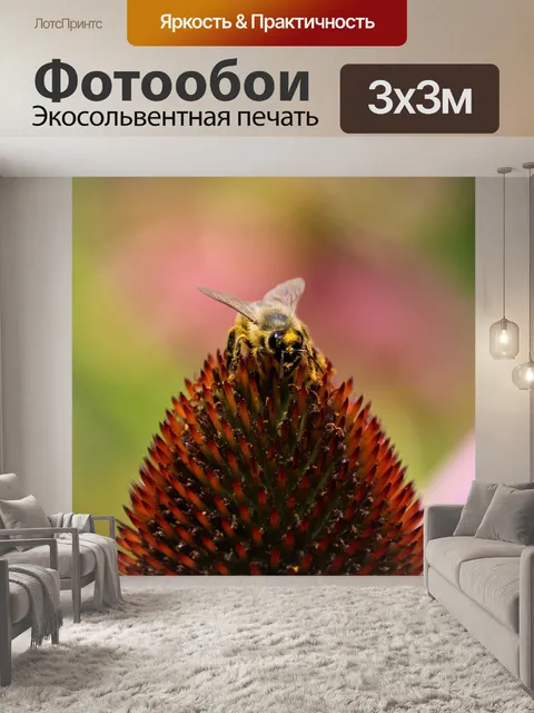 Фотообои Пчела