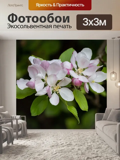 Фотообои Яблоневый цвет