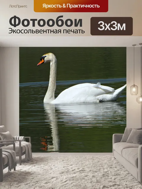 Фотообои Лебедь