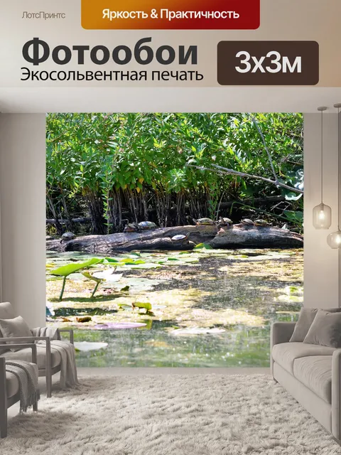 Фотообои Черепахи