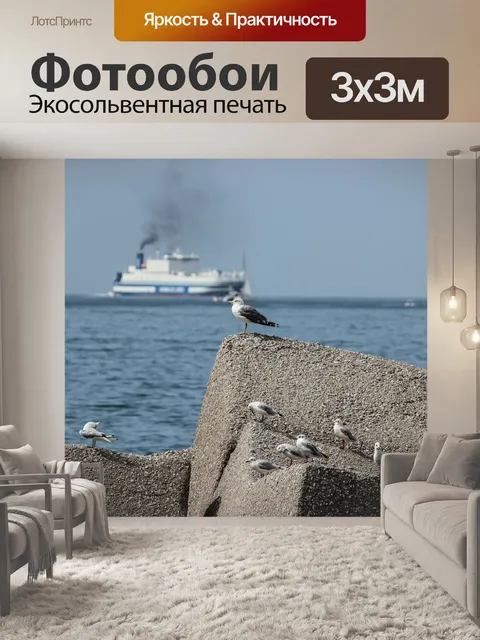 Фотообои Чайки