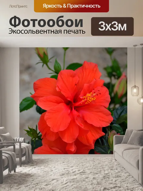 Фотообои Яркий красный цветок гибискуса
