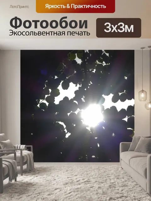 Фотообои Восход солнца сквозь деревья