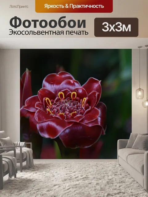 Фотообои Необычный красный цветок Гавайи