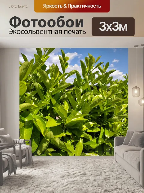 Фотообои Живая изгородь из вишневого лавра