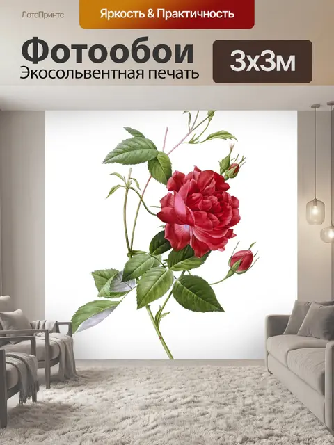 Фотообои Роза цветок старинная картина