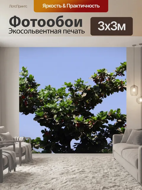 Фотообои Тропический миндаль