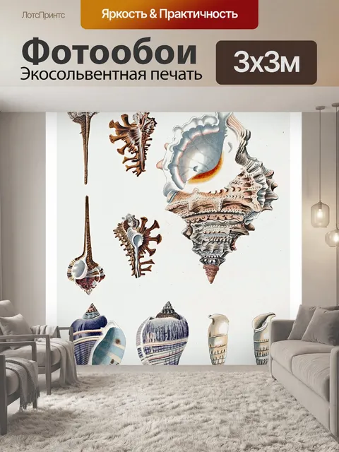 Фотообои Старинные художественные ракушки Морские