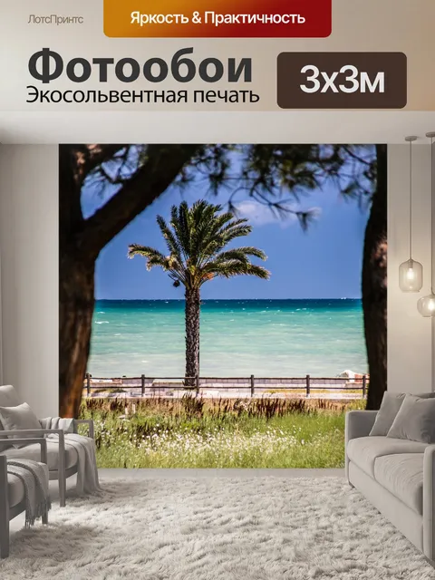 Фотообои Пальма
