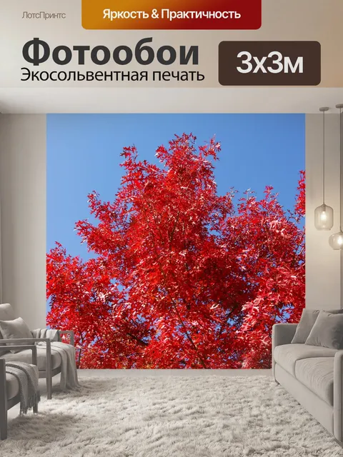 Фотообои Цвета осени