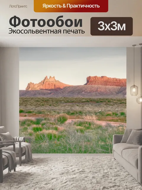 Фотообои Аризонский пустынный пейзаж