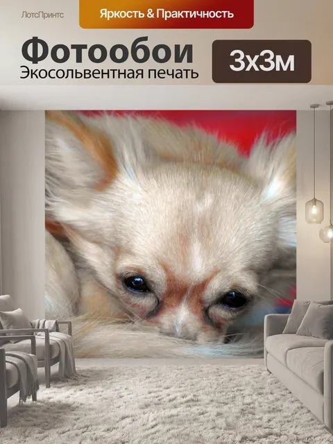 Фотообои Дизайнер собака