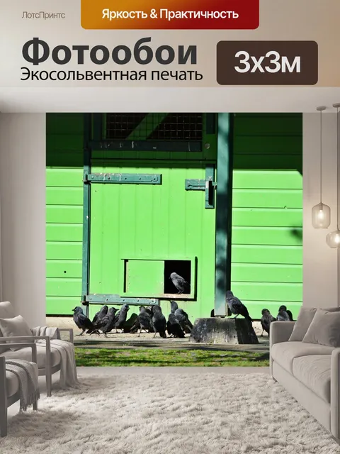 Фотообои Ворона