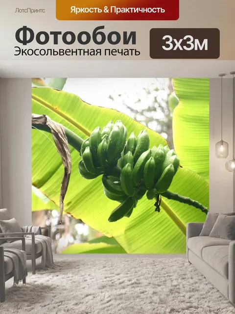 Фотообои Бананы