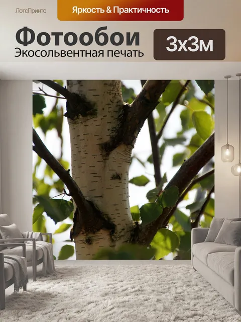 Фотообои Береза