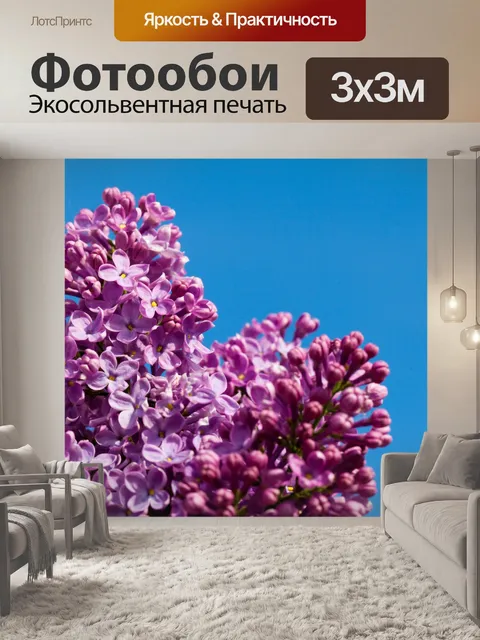 Фотообои фиолетовый сиреневый и небо