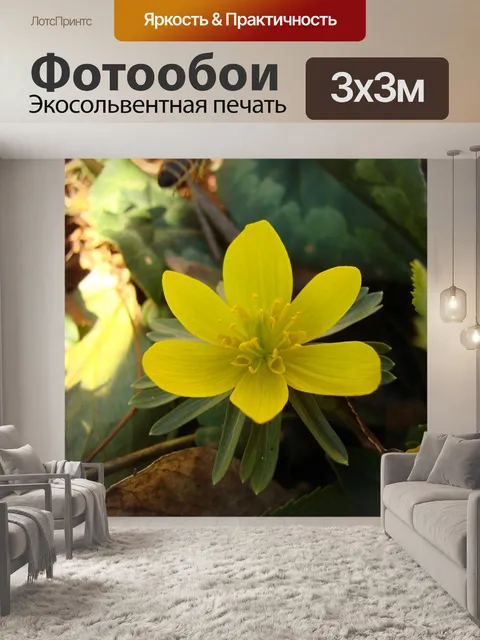 Фотообои Цветок