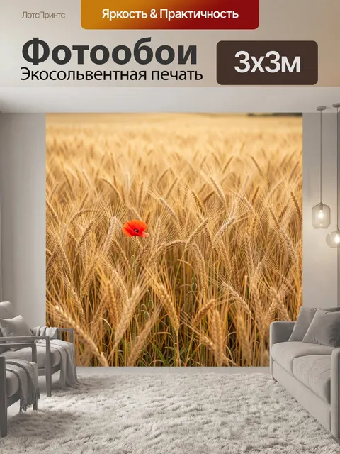 Фотообои Золотое поле с алым маком