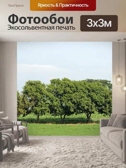 Фотообои Деревья