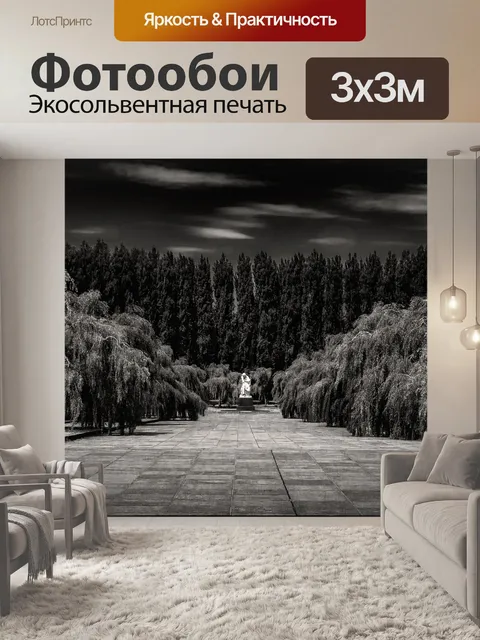 Фотообои Черно-белый